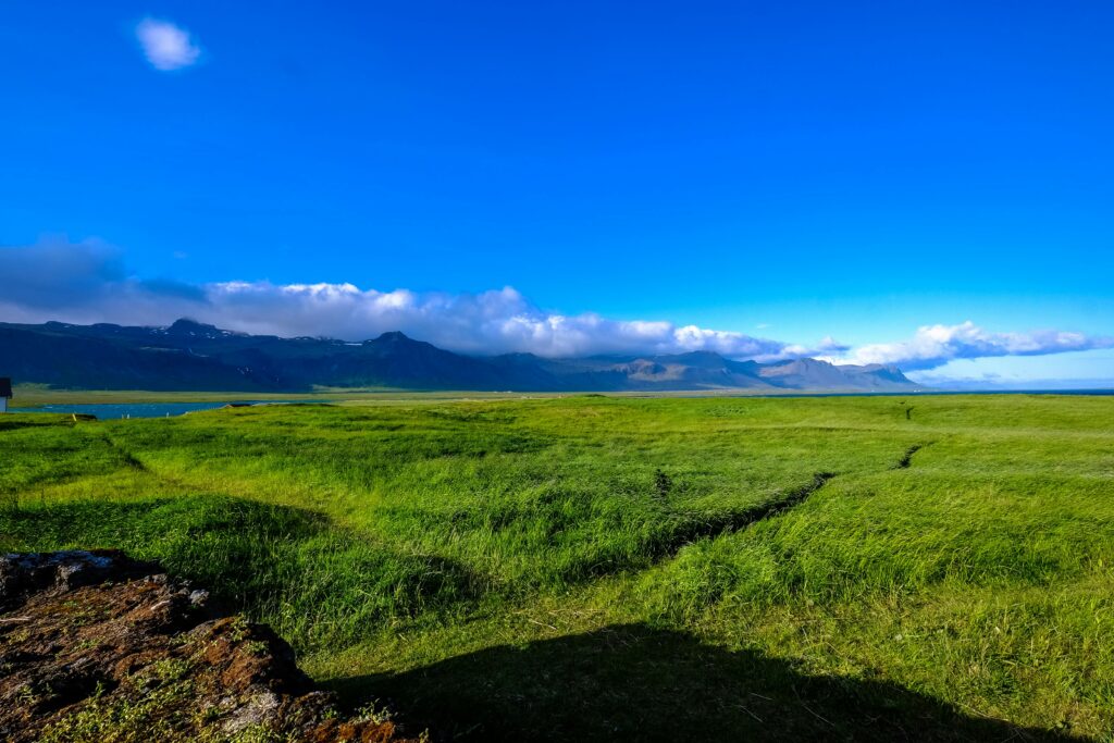 Expansive green meadow with mountains and blue sky, a perfect summer day in nature.